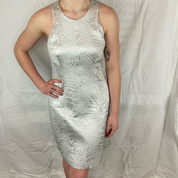 Rebecca Taylor silver dress. Brand New with tags! - Picture 4 of 9